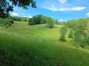 Działka 3 137,00 m², Olszyniec, Sprzedaż
