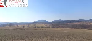 Działka 1 600,00 m², Olszyniec, Sprzedaż