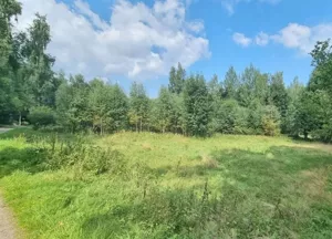 Działka 7 799,00 m², Piechowice, Sprzedaż