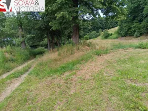 Działka 21 800,00 m², Pogorzała, Sprzedaż