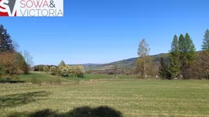 Działka 3 800,00 m², Radochów, Sprzedaż