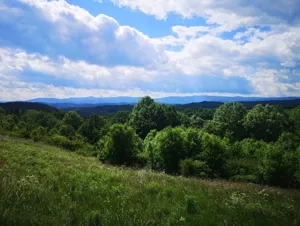 Działka 1 083,00 m², Radomice, Sprzedaż