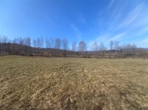 Działka 1 351,00 m², Sierpnica, Sprzedaż