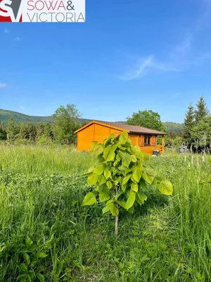 Działka 2 000,00 m², Sierpnica, Sprzedaż