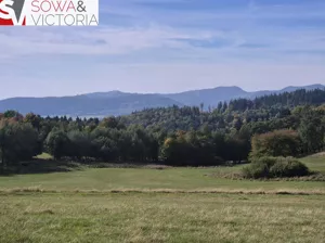 Działka 4 994,00 m², Sierpnica, Sprzedaż