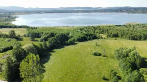 Działka 10 315,00 m², Sosnówka, Sprzedaż