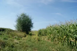 Działka 1 000,00 m², Stare Bogaczowice, Sprzedaż