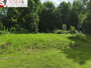 Działka 14 200,00 m², Stare Bogaczowice, Sprzedaż
