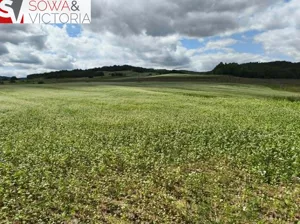 Działka 59 808,00 m², Stare Bogaczowice, Sprzedaż