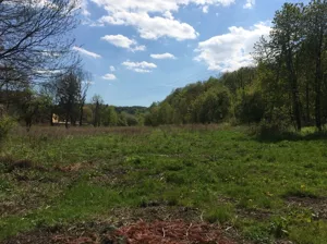Działka 13 000,00 m², Świebodzice, Sprzedaż