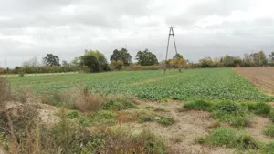 Działka 2 762,00 m², Świebodzice, Sprzedaż