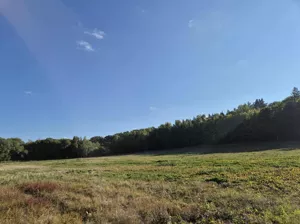 Działka 54 058,00 m², Świebodzice, Sprzedaż