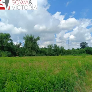 Działka 16 104,00 m², Świebodzice, Sprzedaż