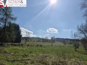 Działka 5 312,00 m², Świerki, Sprzedaż