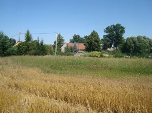 Działka 1 500,00 m², Szymanów, Sprzedaż