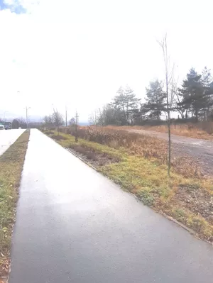 Działka 1 300,00 m², Wałbrzych, Biały Kamień, Wynajem