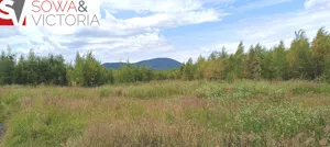 Działka 14 400,00 m², Wałbrzych, Gaj, Sprzedaż