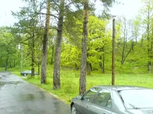 Działka 5 335,00 m², Wałbrzych, Podgórze, Sprzedaż