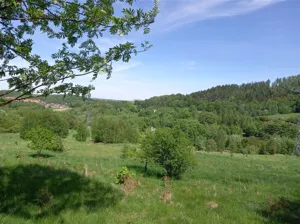 Działka 4 526,00 m², Wałbrzych, Rusinowa, Sprzedaż