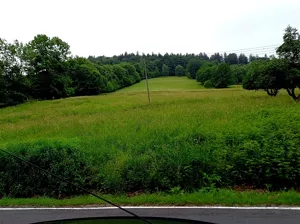 Działka 49 400,00 m², Walim, Sprzedaż
