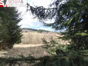 Działka 2 300,00 m², Walim, Sprzedaż