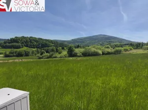 Działka 3 000,00 m², Walim, Sprzedaż