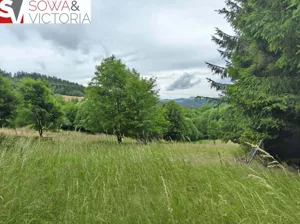 Działka 2 452,00 m², Walim, Sprzedaż