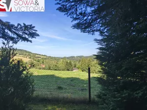 Działka 8 213,00 m², Walim, Sprzedaż
