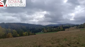 Działka 1 789,00 m², Walim, Sprzedaż