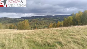 Działka 1 200,00 m², Walim, Sprzedaż