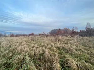 Działka 4 123,00 m², Wojcieszyce, Sprzedaż