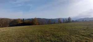 Działka 3 929,00 m², Zagórze Śląskie, Sprzedaż