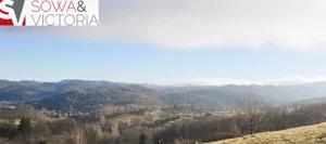 Działka 9 970,00 m², Zagórze Śląskie, Sprzedaż