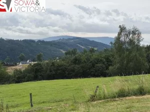 Działka 2 749,00 m², Zagórze Śląskie, Sprzedaż