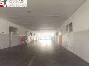 Lokal użytkowy 60,00 m², Wałbrzych, Śródmieście, Wynajem