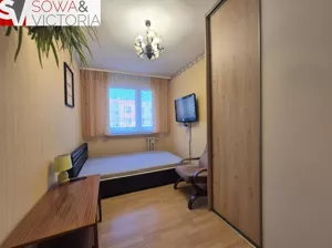 Mieszkanie dwupokojowe 48,50 m², Świebodzice, Wynajem
