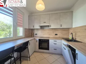 Mieszkanie trzypokojowe 60,00 m², Świebodzice, Wynajem