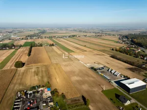 Działka 6 000,00 m², Widoma, Sprzedaż