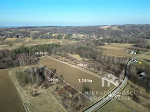 Działka 11 900,00 m², Chmielnik, Sprzedaż