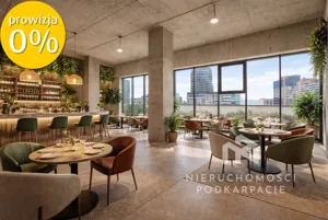 Lokal użytkowy 273,36 m², Rzeszów, Fryderyka Szopena, Wynajem