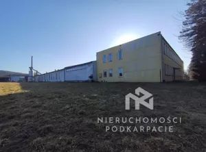 Magazyn 3 000,00 m², Dynów, Sprzedaż