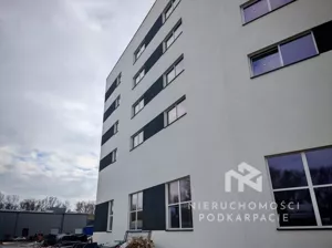 Magazyn 400,00 m², Rzeszów, Wynajem