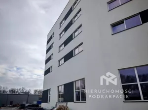 Magazyn 400,00 m², Rzeszów, Wynajem
