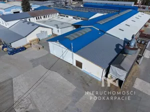 Magazyn 600,00 m², Czudec, Rzeszowska, Wynajem