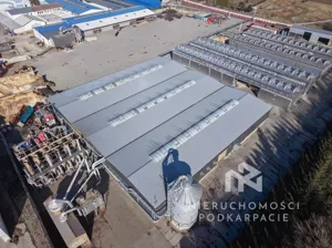 Magazyn 100,00 m², Czudec, Rzeszowska, Wynajem