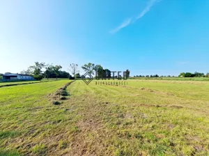 Działka 11 265,00 m², Borowa, Klonowa, Sprzedaż