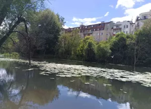 Mieszkanie jednopokojowe 32,29 m², Wrocław, Przedmieście Oławskie, Miernicza, Sprzedaż