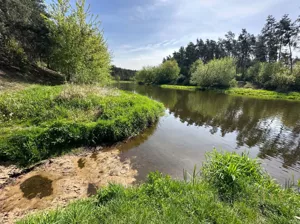 Działka 1 100,00 m², Lelewo, Sprzedaż