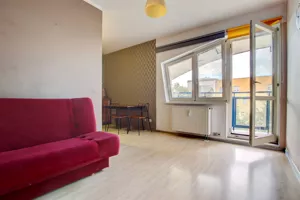 Mieszkanie jednopokojowe 30,00 m², Wrocław, Stare Miasto, Biskupia, Wynajem