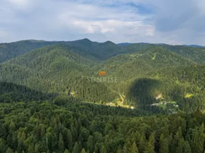 Działka 4 875,00 m², Szczawnica, Bereśnik, Sprzedaż